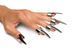 Набор колец с когтями Master Series Five-Piece Sensation Claw Rings - Silver (мятая упаковка!!!) SX1191-R фото 1