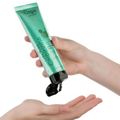Змазка Orgie Lube Tube &mdash; Cocktail Caipirinha (100 мл) Цитрусовий коктейль Кайпірінья SX1513 фото