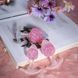 Анальна пробка Liebe Seele Icecream-shaped Crystal Anal Plug - Pink Small SX4866 фото 4
