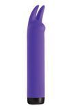 Вібратор S Pleasures Bullets Amethyst, фіолетовий, з двома відростками, 10 режимів, діаметр 3,1 см SX1604 фото