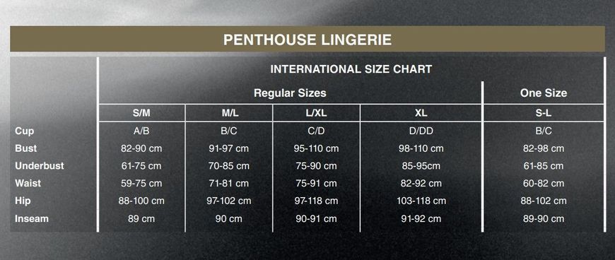 Боді Penthouse Be Mine S/L Black, виріз на спинці, імітація стрепу у вигляді геометричного малюнка SO6443 фото