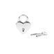 Замочек Liebe Seele Heart Shape Padlock Silver (2 шт) SX1679 фото 1