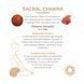 Вагінальні кульки Adrien Lastic Harmony Stones SX1272 фото 15