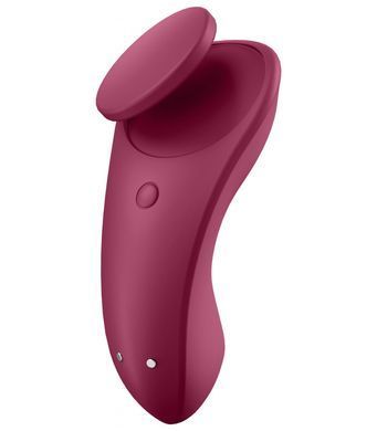 Набір Satisfyer Partner Box 1 (вібратор для пар Double Joy + вібратор у трусики Sexy Secret) (м'ята упаковка!!!) SO7143-R фото