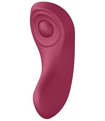 Набір Satisfyer Partner Box 1 (вібратор для пар Double Joy + вібратор у трусики Sexy Secret) (м'ята упаковка!!!) SO7143-R фото