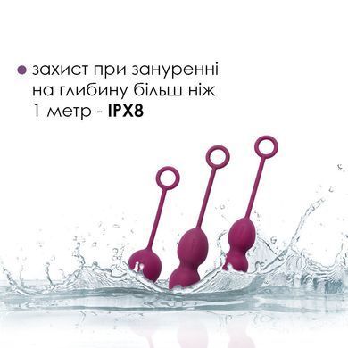 Набір вагінальних кульок зі зміщеним центром ваги Svakom Nova Violet (м'ята упаковка!!!) SO4831-R фото